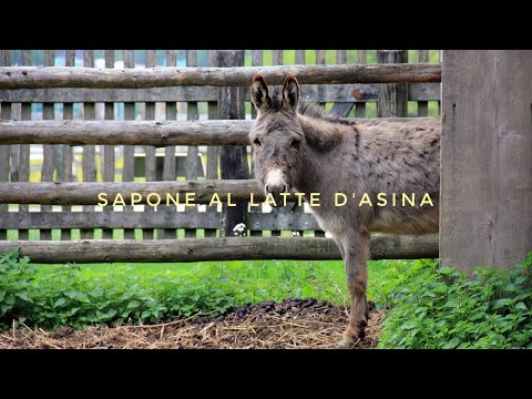 Video: 11 Meravigliosi Benefici Del Sapone Al Latte Di Riso Per La Tua Pelle