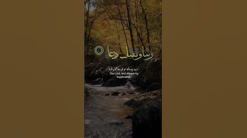القران الكريم(سورة ابراهيم) #اللهم_صل_وسلم_على_نبينا_محمد #quran #foryou #اكسبلور #viral #chill