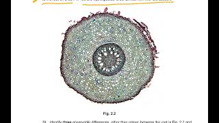 AS BIO M 23 P 33 Q 2 EXPLAINED