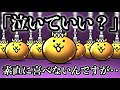 マジで泣いていいっすか ストリートファイター超激レア確定で 最低の出来事が起きたwww にゃんこ大戦争 マジで泣いていいっすか ストリートファイター超激レア確定で 最低の出来事が起きたwww にゃんこ大戦争