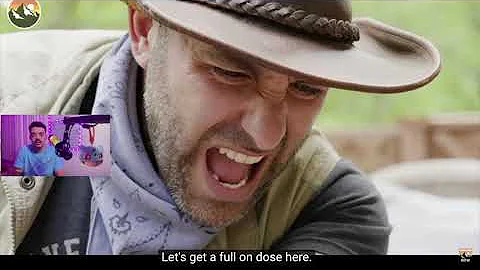 Bimu Reacts To Stung Twice - Wasp vs. Hornet Brave Wilderness