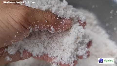 Máy vắt nước cốt dừa công nghiệp, vắt kiệt nước lần 1 trên 95% - ĐIỆN CƠ XANH 0984467870