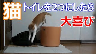 猫のトイレを2つにして大喜びの動画「アイリスオーヤマ」