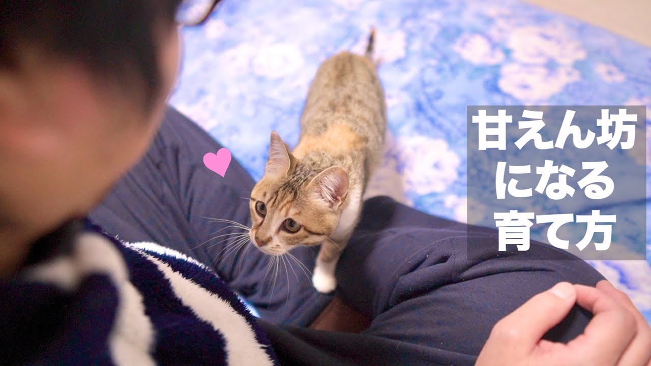 I want to sleep with Daddy!