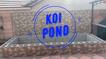 KOI POND (Part 3) DIY Backyard Pond