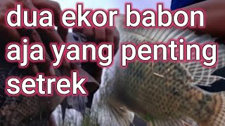 Mancing cantik Mancing nila  dirawa strek babon#Cewek_Angler_zeeo_to_hero