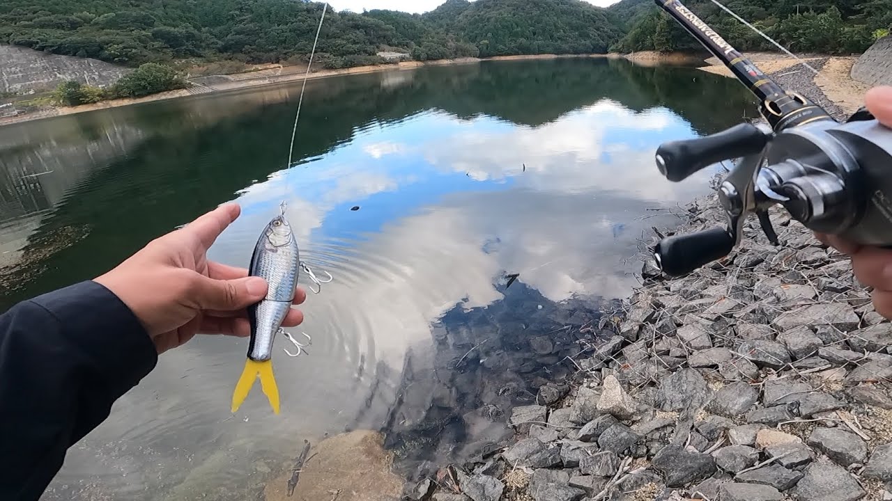 【bass fishing】ダイソーのビッグベイト投げてみた！　#daiso #バス釣り
