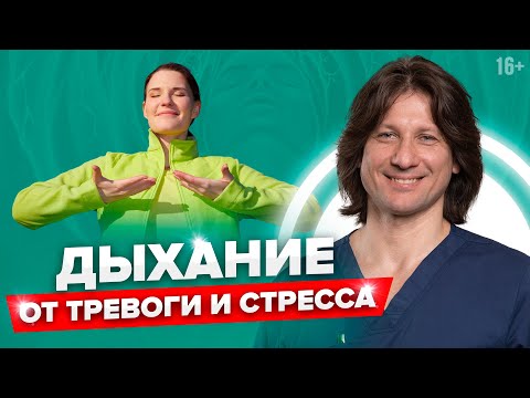 Как снять стресс за 4 минуты. Дыхательная практика.