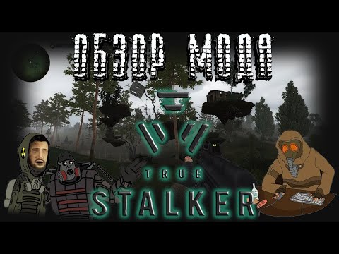 Видео: ☢️[Обзор] TRUE STALKER / Мод тру сталкер