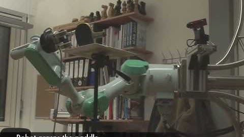 Learning to Grasp with Motor and Vision Primitives