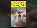 పాపం పాప కి ఒక్క కన్ను లేదు #telugu #facts