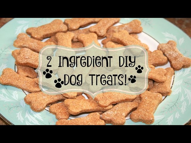 2-Ingredient Homemade Dog Treats - The Soccer Mom Blog