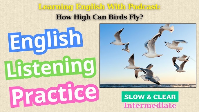 How High Do Birds Fly When Migrating: Surprising Altitudes Revealed