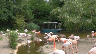 Zoo Hannover