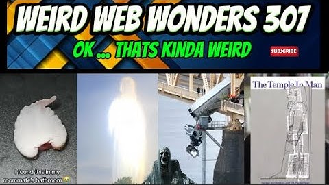 weird web wonders 307