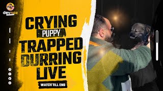 We Were Doing A Live And It Went Completely Wrong With A Puppy Rescue he was stuck crying by dev naz Animal Rescue 991 views 1 month ago 11 minutes, 11 seconds