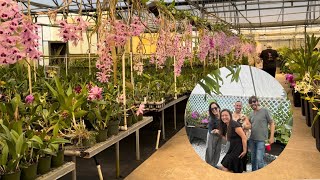 Orchids In Bloom Nursery Visit, First Time!! I’m WOWED