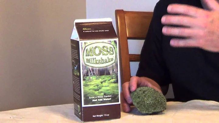 Easy Way to Grow Moss - Moss for Shady Landscaping