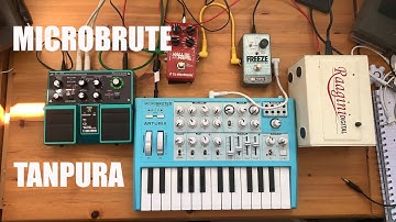 Microbrute / Tanpura / Guitar Pedals
