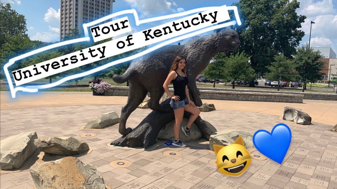 Tour University of Kentucky😸💙Visitando Universidade YouTube