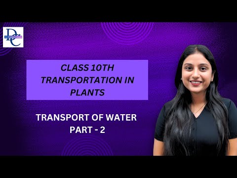 Master Plant Transport: