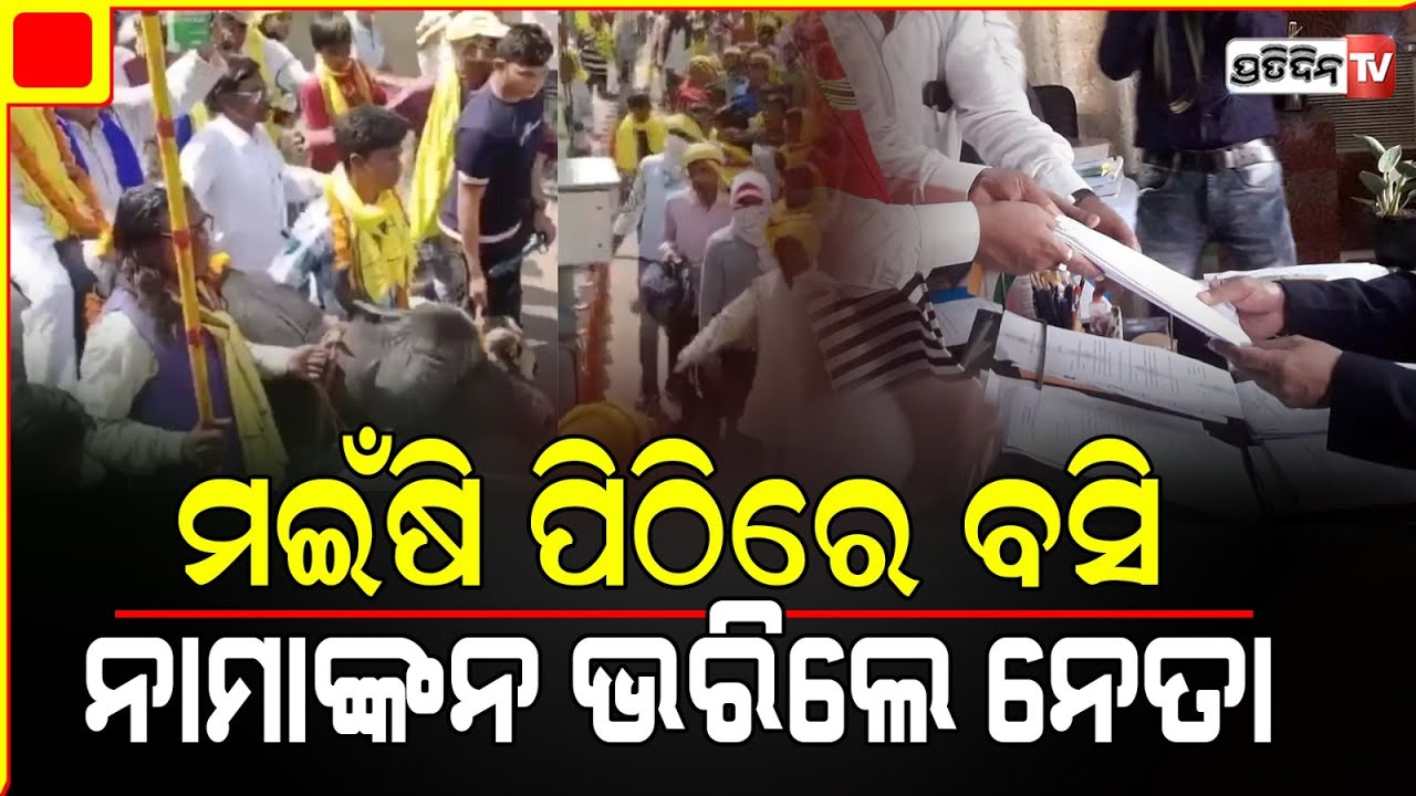 ମଇଁଷି ପିଠିରେ ବସି, ଆସିଲେ ବିଧାୟକ ପ୍ରାର୍ଥୀ! west bengal purulia candidate ajit prasad nomination.