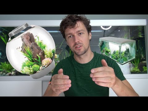 Video: Aquatics: een zoetwateraquarium opzetten voor goedkoop!