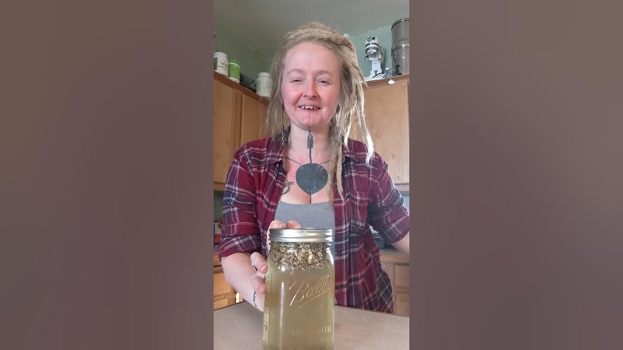 Let's make a Marshmallow root infusion! YouTube