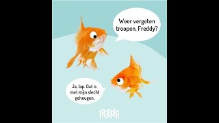 Steun The Mini Crescendo's het hele jaar door gratis via Trooper