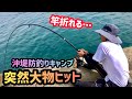 [3]竿が折れるかと思うほどの大物が掛かった。沖堤防で釣りキャンプ最終日 #釣りキャンプ #小浦一文字 #和歌山