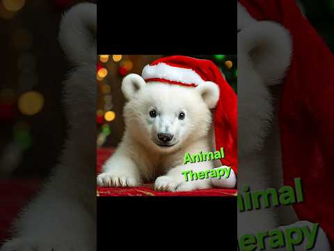 ЗАРЯД ЗИМНЕГО ПОЗИТИВА #animals #nature #bear #newyear #christmas #животные #природа #топ #новыйгод