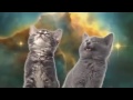 Gatos cantando en la galaxia