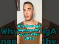 “Why does IgA nephropathy occur after URTIs?”