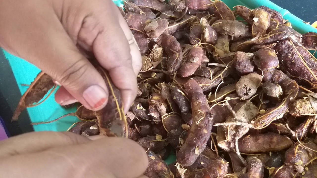 Tamarind cleaning (Patti 's special YouTube
