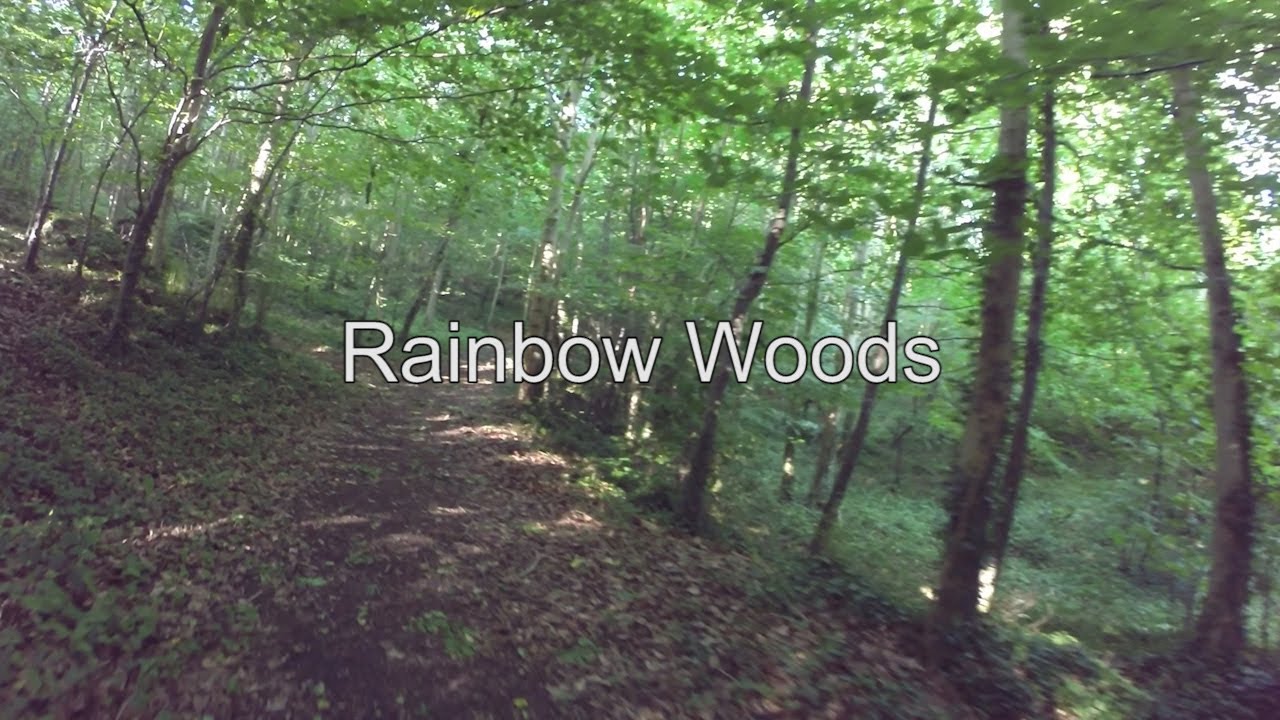 Rainbow Woods Youtube - rainbow wood roblox
