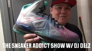 2013 Nike Lebron 10 Pure Platinum Re-Entry X Sneaker  HD Review With @DjDelz #HotOrNot