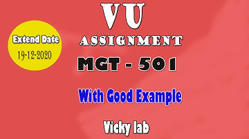 MGT501 Assignment 1 Solution Fall 2020 | MGT501 Assignment Solution 2020