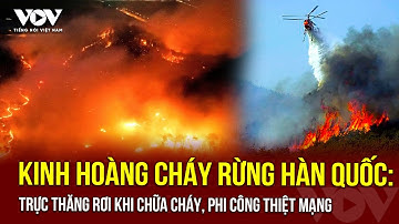Cháy rừng ở Hàn Quốc: Trực thăng rơi khi chữa cháy, phi công thiệt mạng