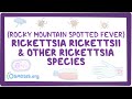 Rickettsia rickettsii & other Rickettsia species - causes, symptoms, diagnosis, treatment, pathology