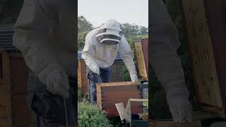 Beekeeping accessories 🧰