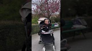 хохотун #shortvideo #baby #дети