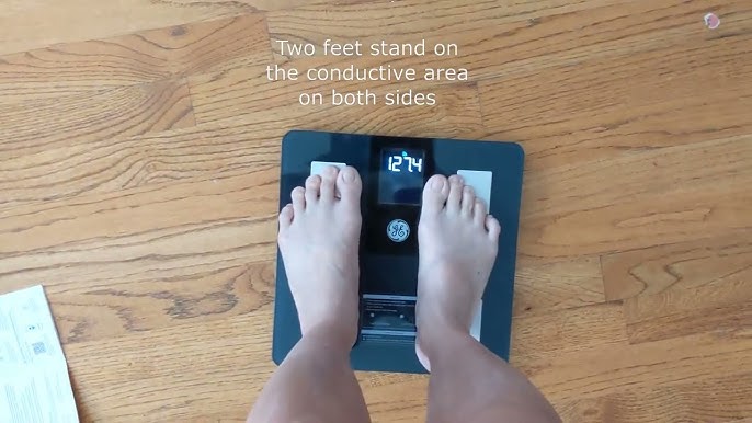 Our Point of View on EnerPlex Scale for Body Weight From  