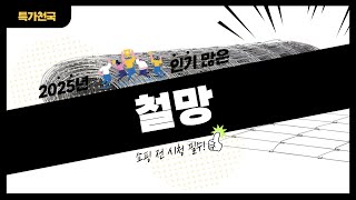 철망 사기 전에 이 영상 먼저 보세요! 2025년 인기 많은 철망 추천 TOP10 / 구매후기, 판매량, 가격이 모두 반영된 최신 순위