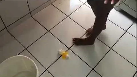 Como tirar cheiro de ovo podre do carpete?