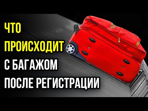 Невероятное путешествие, в которое отправляется ваш чемодан после регистрации