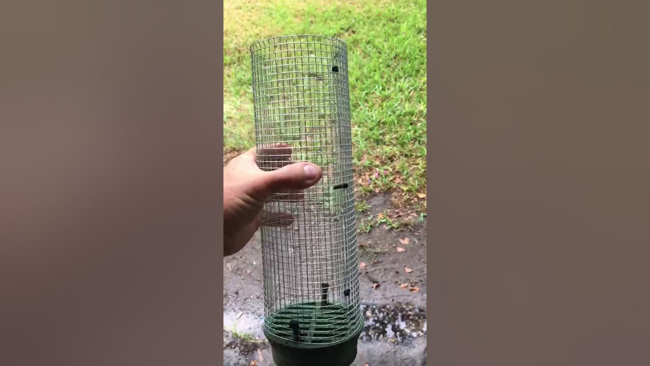 How to keep drains from clogging YouTube