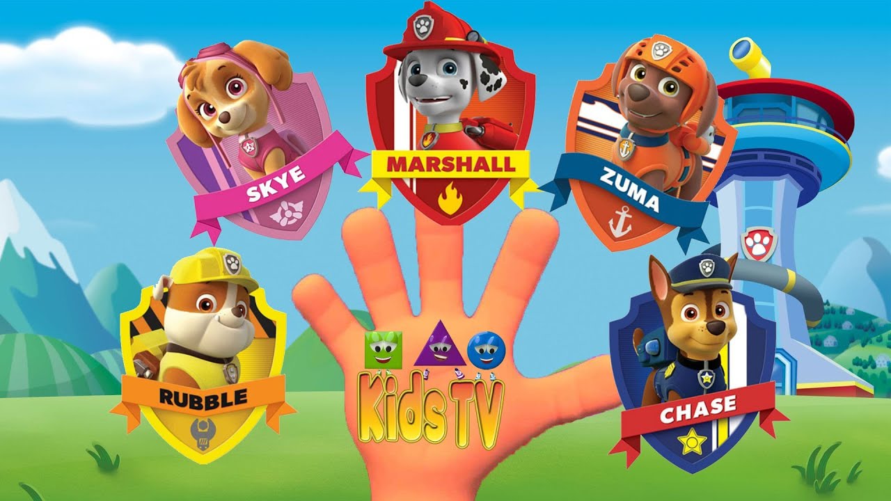 without music Paw Patrol Finger Family Songs Nursery Rhymes for