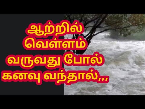       l If you dream of a river flooding l  kanavupalangal