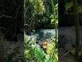 Beautiful Water flow