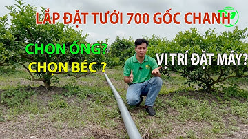 HƯỚNG DẪN LẮP ĐẶT HỆ THỐNG TƯỚI VÀ CHỌN BÉC PHÙ HỢP CHO VƯỜN MIỀN TÂY | VNPLANT
